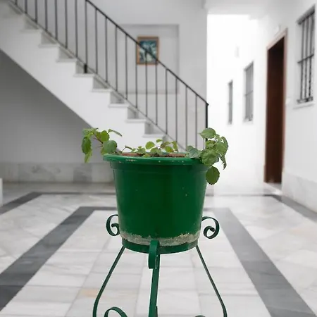Apartment Bereber أحلام Jerez de la Frontera
